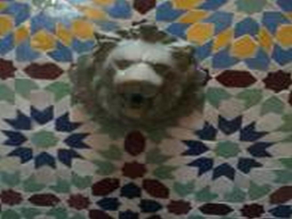 Riad Etoile D'에사우이라 외부 사진